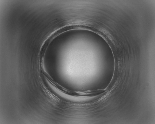 X0000076041069200610061438