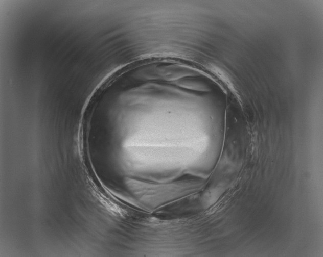 X0000076041076200610061438