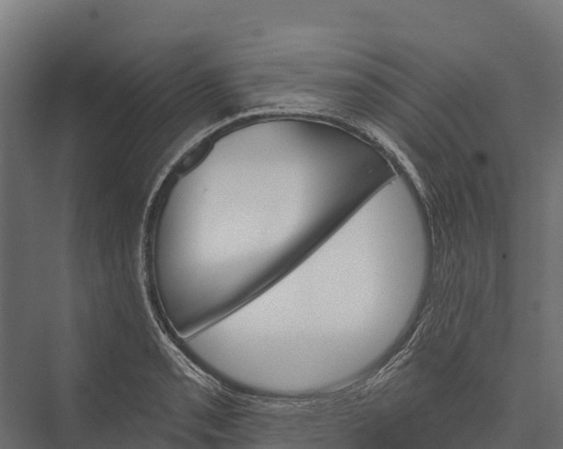 X0000076041085200610061438