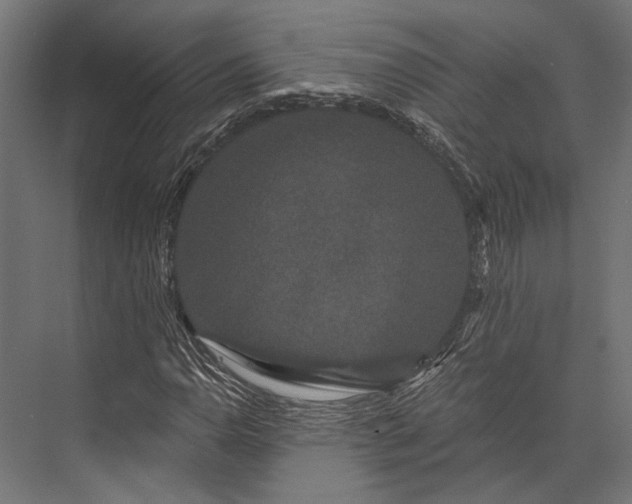 X0000076041110200610061437