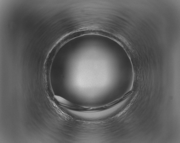 X0000076041118200610061437