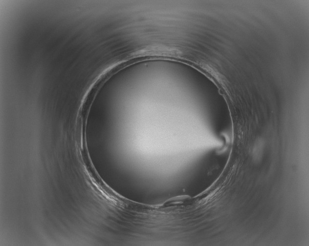X0000076041123200610061437