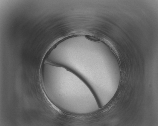 X0000076041141200610061437