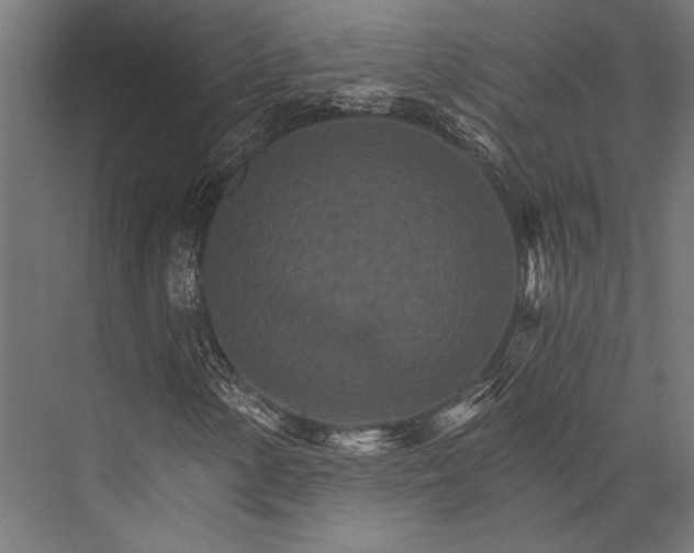 X0000076041154200610061437