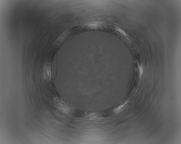 X0000076041155200610061437