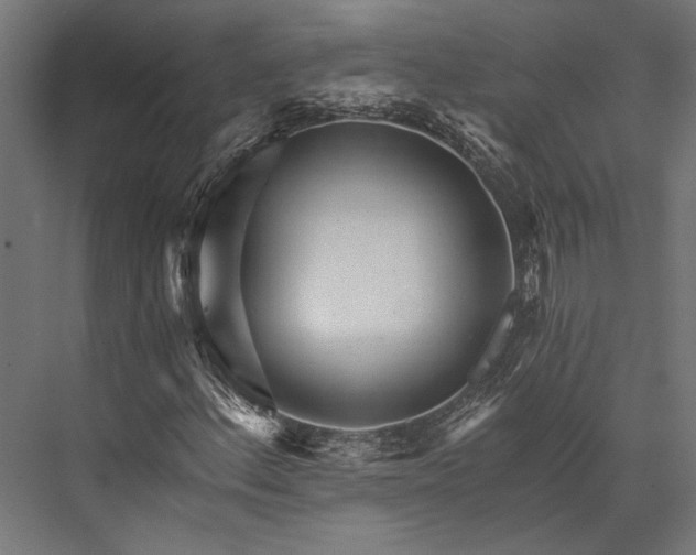 X0000076041156200610061437