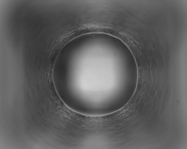 X0000076041157200610061437