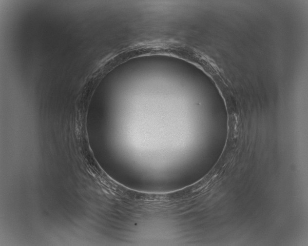 X0000076041158200610061436