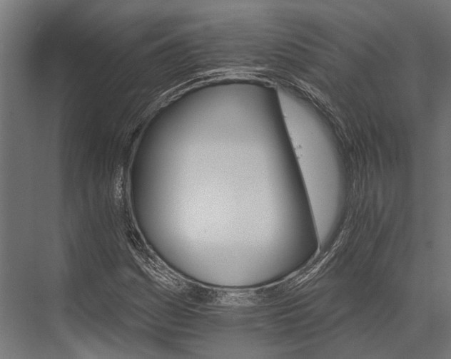 X0000076041161200610061436
