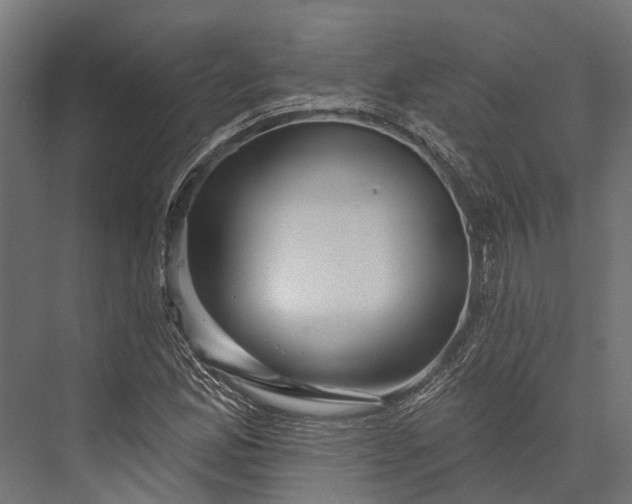 X0000076041165200610061436