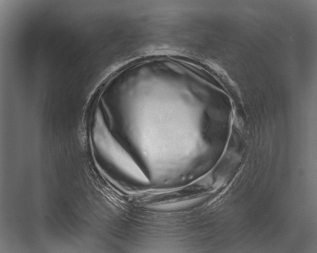 X0000076041167200610061436