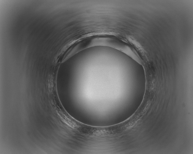 X0000076041169200610061436