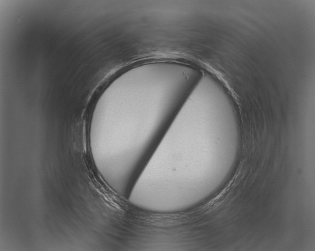 X0000076041171200610061436