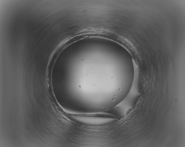 X0000076041172200610061436