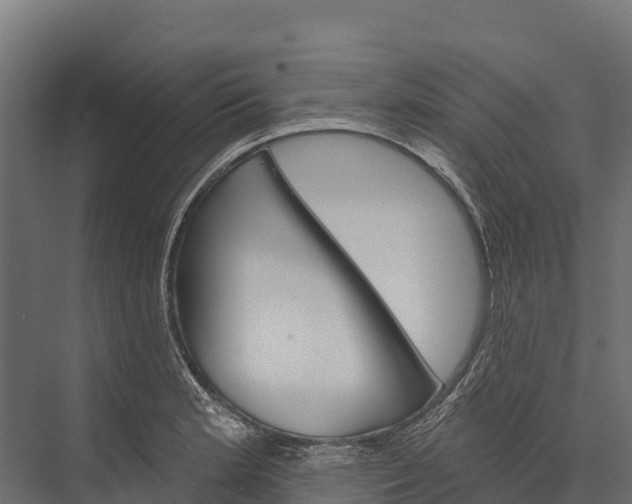 X0000076041181200610061436