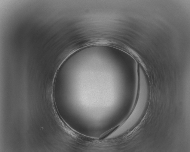 X0000076041194200610061436