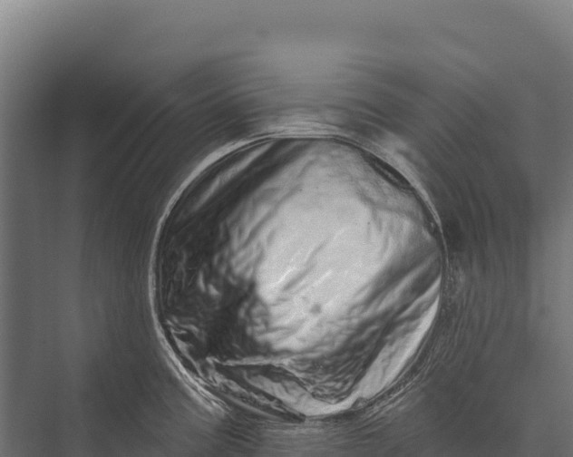 X0000076041195200610061436