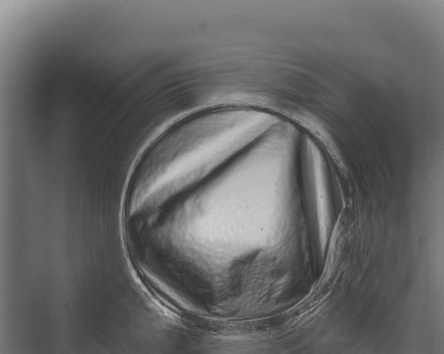 X0000076041199200610061436