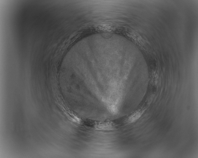 X0000076041201200610061435