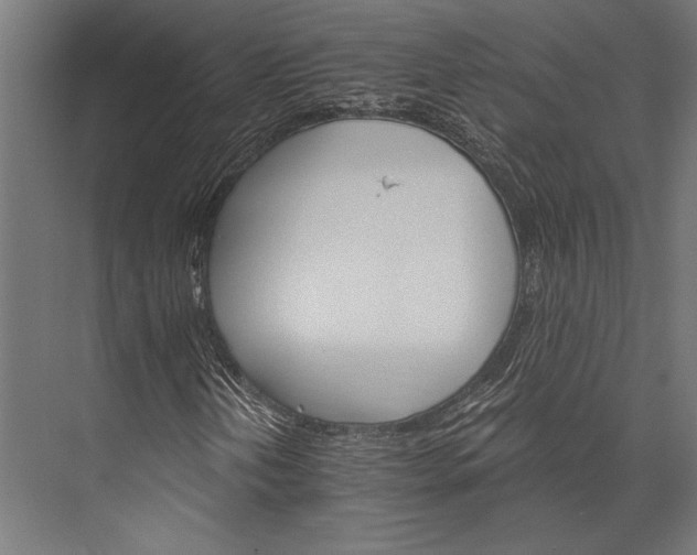 X0000076041202200610061435