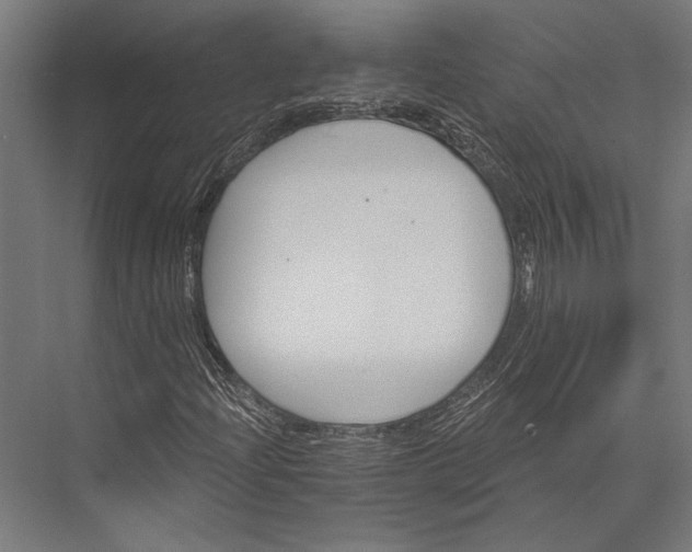 X0000076041204200610061435