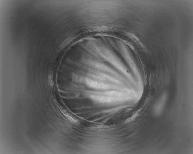 X0000076041209200610061435