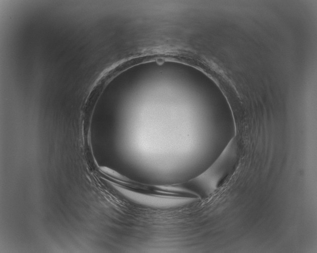 X0000076041214200610061435