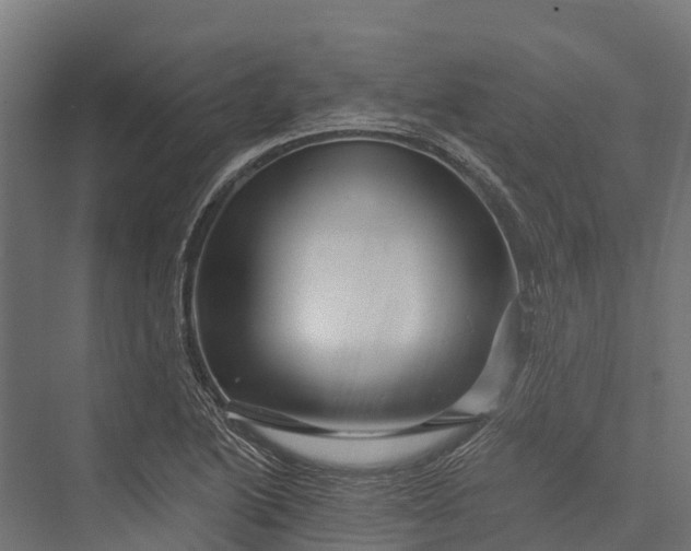 X0000076041222200610061435