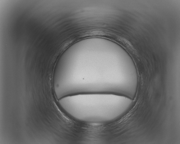 X0000076041225200610061435