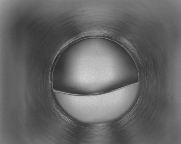 X0000076041226200610061435