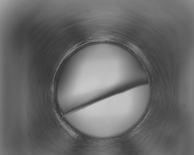 X0000076041234200610061436