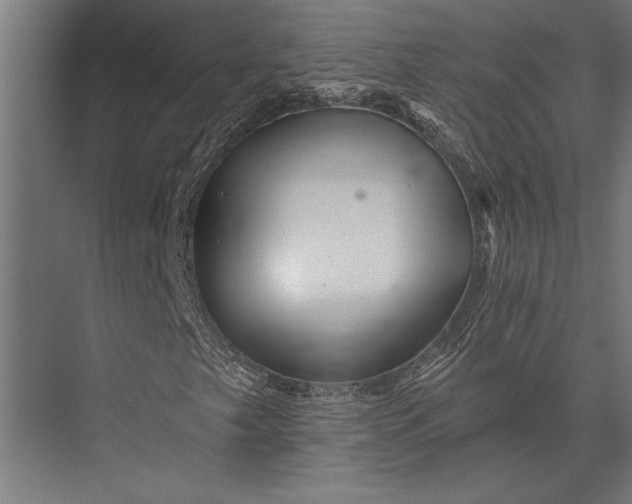 X0000076041249200610061435