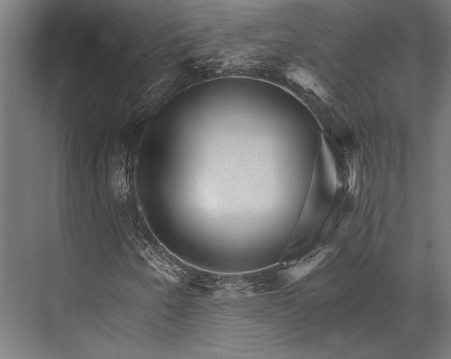X0000076041250200610061435