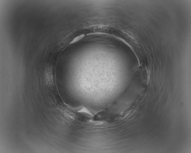 X0000076041252200610061435