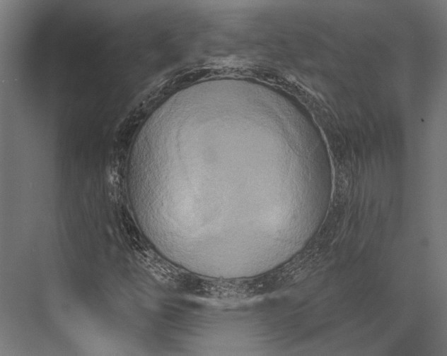X0000076041254200610061435