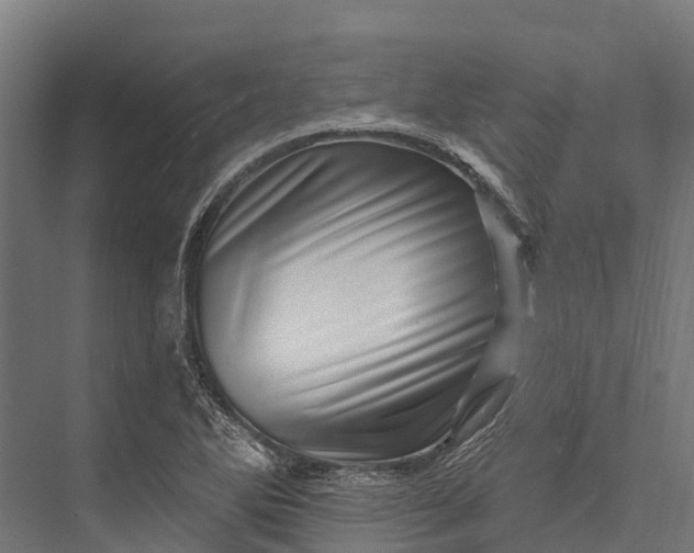 X0000076041270200610061435