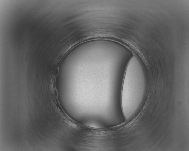 X0000076041273200610061435