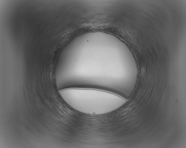 X0000076041300200610061433