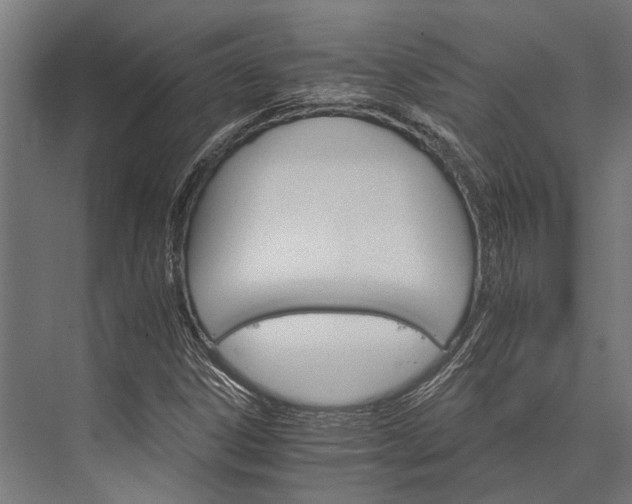 X0000076041306200610061433