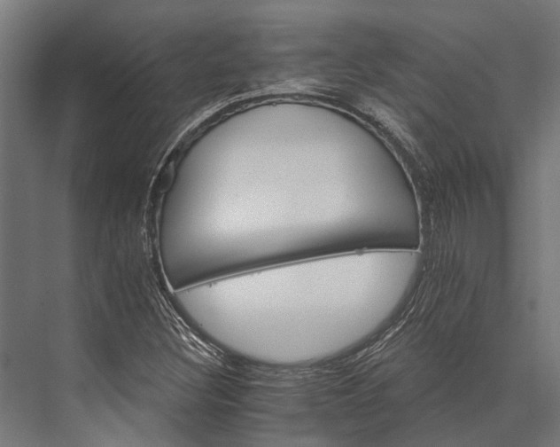 X0000076041308200610061434