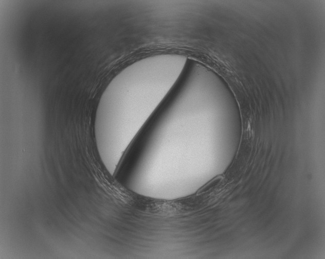 X0000076041348200610061433