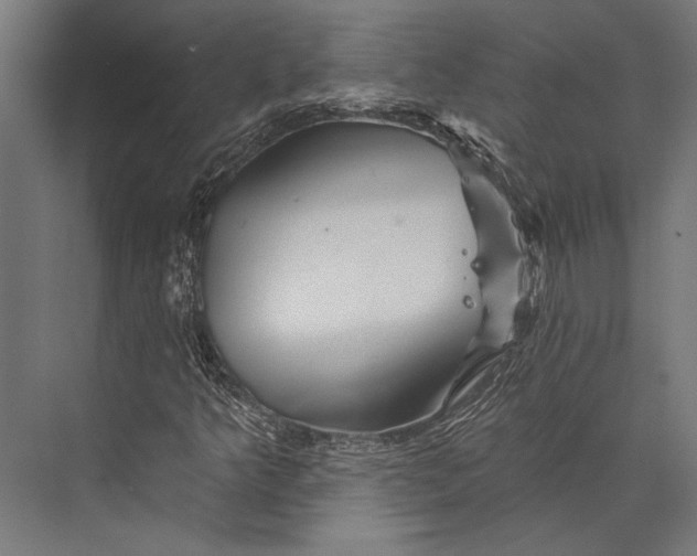 X0000076041349200610061433