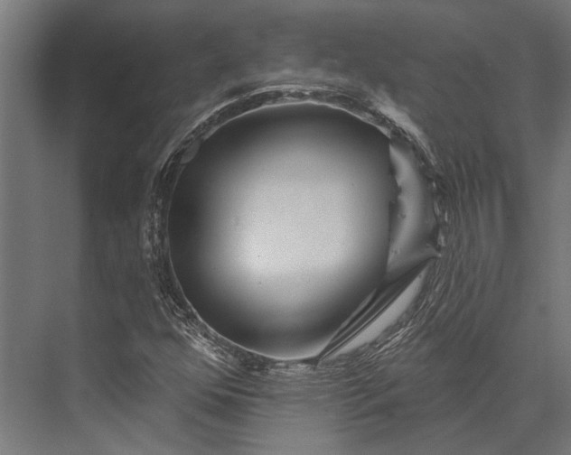 X0000076041352200610061433