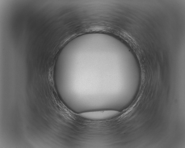 X0000076041353200610061433