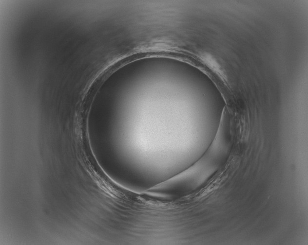 X0000076041356200610061433