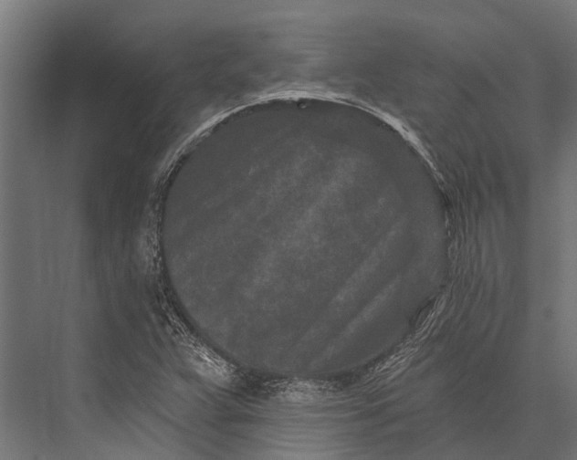 X0000076041359200610061433