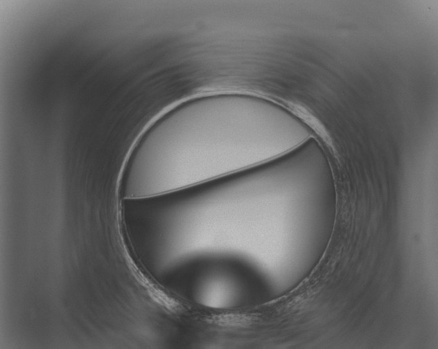 X0000076041380200610061433