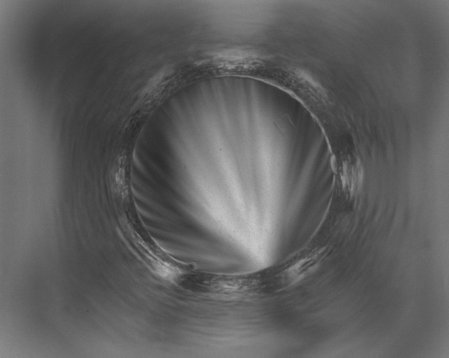 X0000076041396200610061432