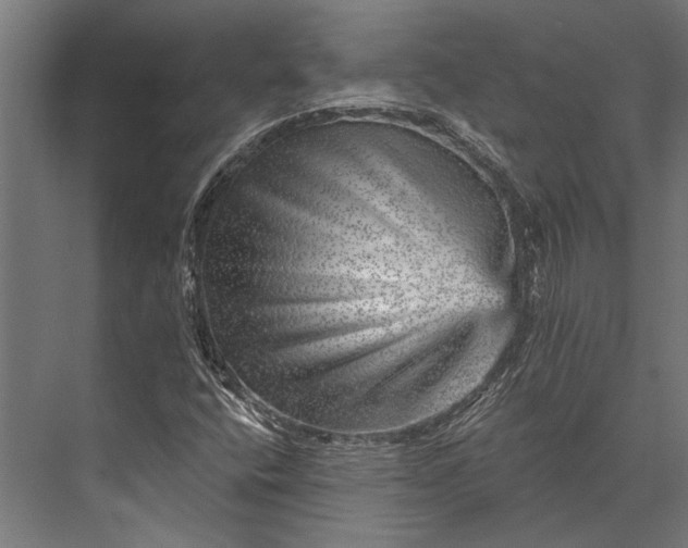 X0000076041400200610061432