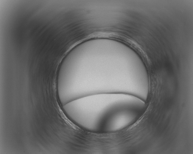 X0000076041417200610061432